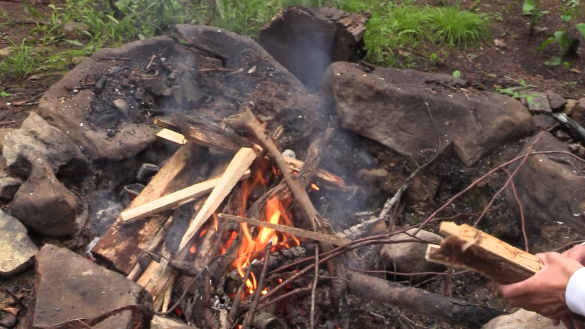 Fire Safety Resources - TREES Network